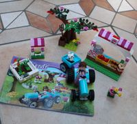 Lego Friends Olivias Gemüsegarten 41026 Rheinland-Pfalz - Mehlingen Vorschau