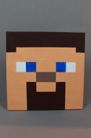 Minecraft Steve Brandenburg - Wittstock/Dosse Vorschau