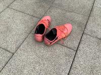Fußball Schuhe Puma zu verkaufen Nürnberg (Mittelfr) - Nordstadt Vorschau
