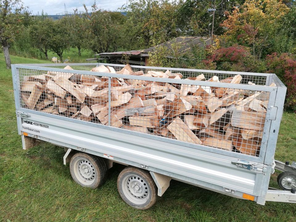 Sortenreines Buchen Brennholz / Kaminholz | trocken / waldfrisch in Esslingen