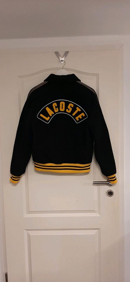 Lacoste Live - Collegejacke limitiert in Oranienburg