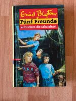 Enid Blyton Fünf Freunde Band 1 Gröpelingen - Gröpelingen Vorschau