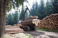 Stammholz / Brennholz / Hartholz / aus dem Harz Sachsen-Anhalt - Rohrsheim Vorschau