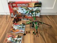 Lego Ninjago 70593 Essen - Altenessen Vorschau