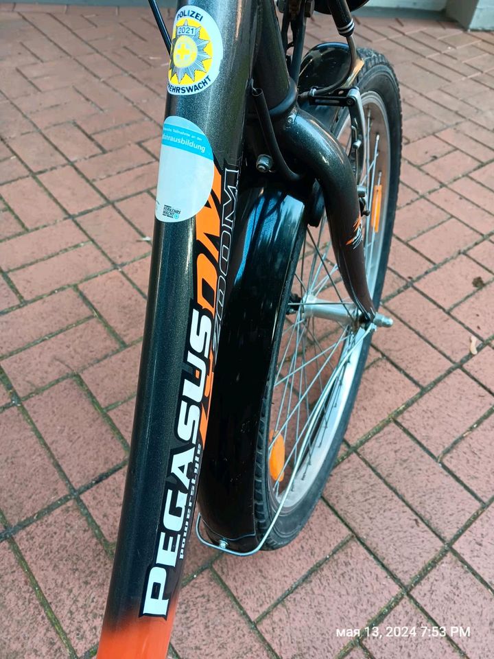 Pegasus Fahrrad  24 Zoll in Essen