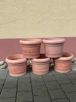 5 Pflanztöpfe aus Kunsstoff terracottafarben Höhe 30 cm 50 € VB N Baden-Württemberg - Willstätt Vorschau