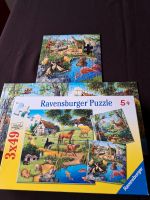 Ravensburger Puzzle 3x49 Teile Natur 5+Jahre Baden-Württemberg - Weil der Stadt Vorschau