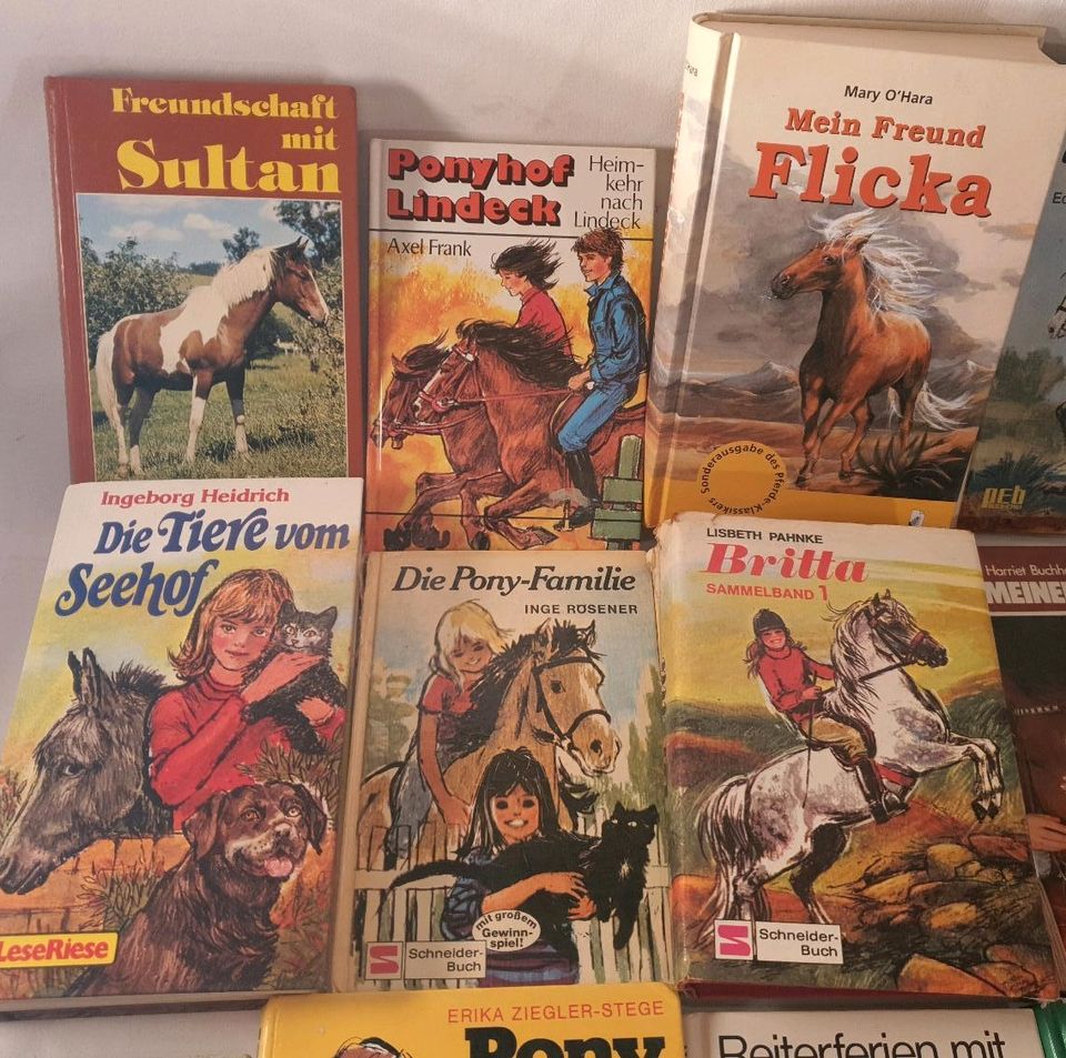 25x Pferde Pony Bücher - Billie & Zottel, Tina Caspari uvm. in Leverkusen