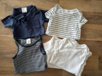 5er-Set Baby Bodys Sommer, kurzarm, Poloshirt-Body, 74 Köln - Bayenthal Vorschau