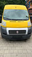 Fiat Ducato Maxi Hochr.-Kasten 35 Natural Power Baden-Württemberg - Schopfheim Vorschau