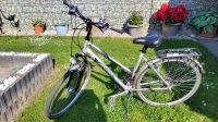 Winora Fahrrad. 28 Zoll. RH 50 Niedersachsen - Gronau (Leine) Vorschau