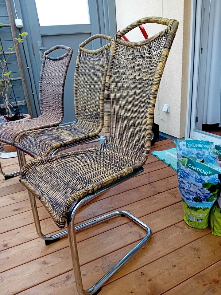 Stühle für Esstisch in Velpke