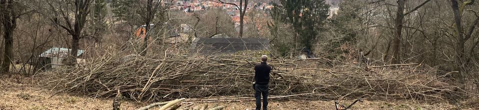 Osterfeuer....Schnittgut für Hackschnitzel oder Rindenmulch in Rudolstadt