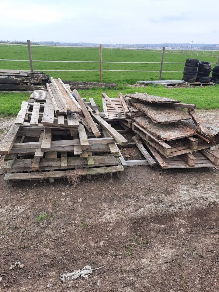 Paletten / Pfosten Holz zu verschenken in Wölfersheim