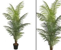 Kunstpalme Areca mit 14 Palmwedel Höhe 200cm #900795A Bayern - Jettenbach Vorschau