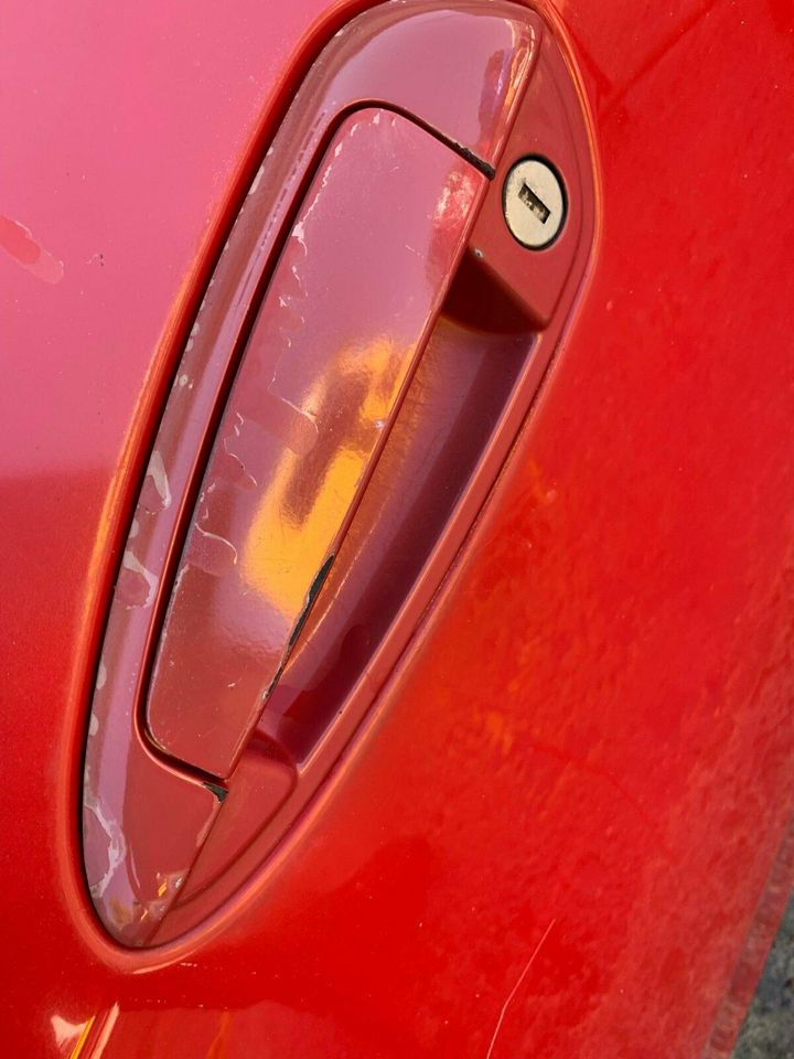 Fiat Punto - Fahrertür - Rot in Lippstadt