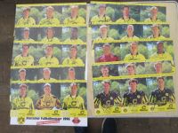 GESCHENK FÜR FANS BVB 09 BORUSSIA DORTMUND 1996 KONVOLUT SAMMLER Thüringen - Schimberg Vorschau