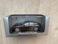 Porsche Panamera Turbo grau metallic 1:43 Modellauto Sachsen-Anhalt - Halle Vorschau