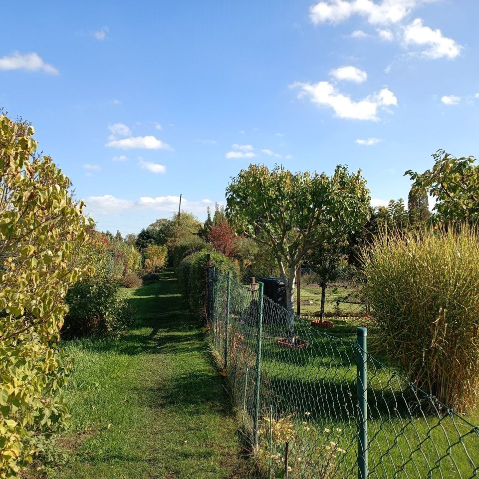 ✔️++Gartengrundstück Privatgrundstück zu Verpachten oder zu Verkaufen+++✔️ in Friedensstr., 15328 Küstriner Vorland(58km von Berliner Stadtgrenze) in Küstriner Vorland