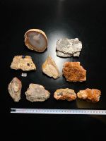 Mineralien Edelsteine Sammlung Kristalle Trommelsteine Nordrhein-Westfalen - Halle (Westfalen) Vorschau