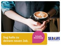 Mitarbeiter (m/w/d) Gastronomie (SEA LIFE Timmendorfer Strand) *13.21 EUR/Stunde* Studentenjob, Studenten Praktikum, Aushilfe in Timmendorfer Strand Restaurantfachkraft Servicemitarbeiter Thekenhilfe Kreis Ostholstein - Timmendorfer Strand  Vorschau