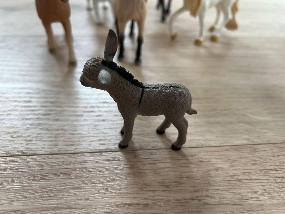 Schleich Einhorn Pferde Hund Esel Set in Grevenbroich