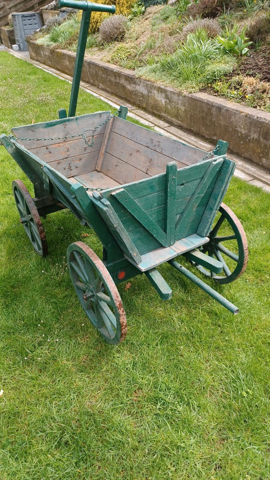 Holzhandwagen in Herzberg am Harz