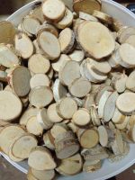 Birkenscheiben Holzscheiben Baumscheibe Astscheiben Rheinland-Pfalz - Landau in der Pfalz Vorschau