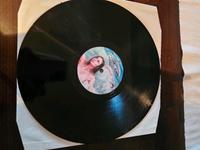 Traumprinz Giegling Into the sun vinyl lp Schallplatte Leipzig - Leipzig, Zentrum-Ost Vorschau