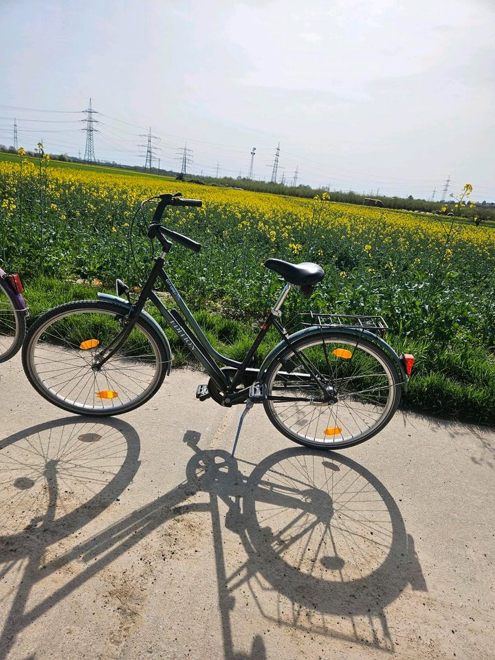 2 Damen Fahrräder in Hofheim am Taunus