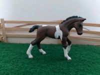 Schleich Fohlen Bayern - Eching (Kr Freising) Vorschau