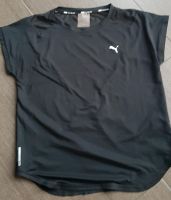 Sport T-Shirt von Puma Nordrhein-Westfalen - Rheurdt Vorschau