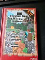 Minecraft Buch Niedersachsen - Saterland Vorschau