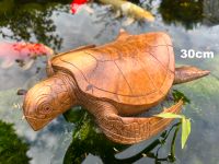 Schildkröte Wasserschildkröte Landschildkröte Holzschildkröte Essen - Essen-Werden Vorschau