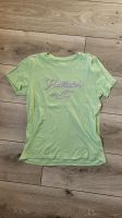 Hollister Logo T-Shirt Oberteil Sommer Shirt XS Niedersachsen - Winsen (Luhe) Vorschau