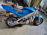 Polini Pocketbike Motor Luftgekühlt Alutec 911 Tuning Sachsen - Pulsnitz Vorschau