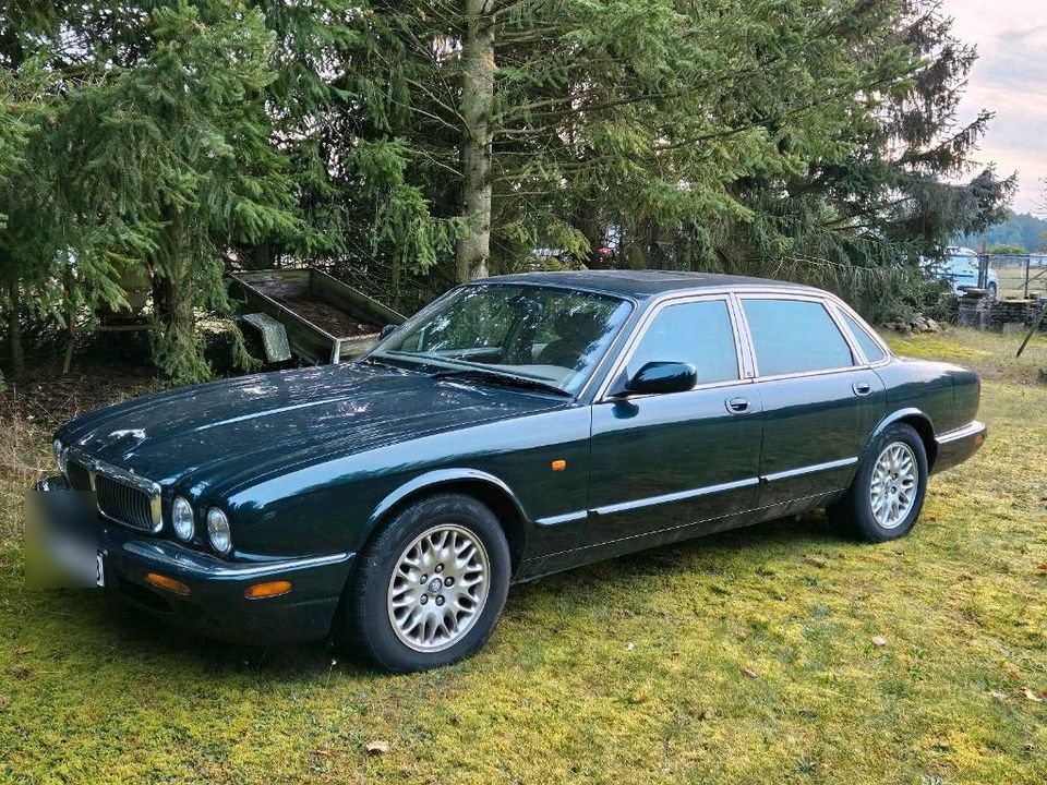 Jaguar xj308 in Büchen