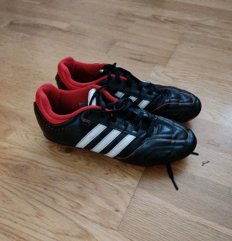 Fußball Stollen Schuhe Gr 37 Adidas in Beilngries