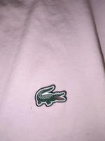 Lacoste Tommy Hilfiger und weitere Marken Rheinland-Pfalz - Mainz Vorschau
