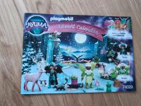 Playmobil Adventskalender 71029 Ayuma Baden-Württemberg - Emmingen-Liptingen Vorschau