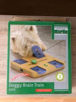 Doggy Brain Train von Karli Sachsen-Anhalt - Dessau-Roßlau Vorschau