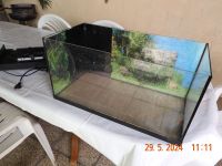 Aquarium 60 cm x 30x30 Sachsen-Anhalt - Bad Duerrenberg Vorschau