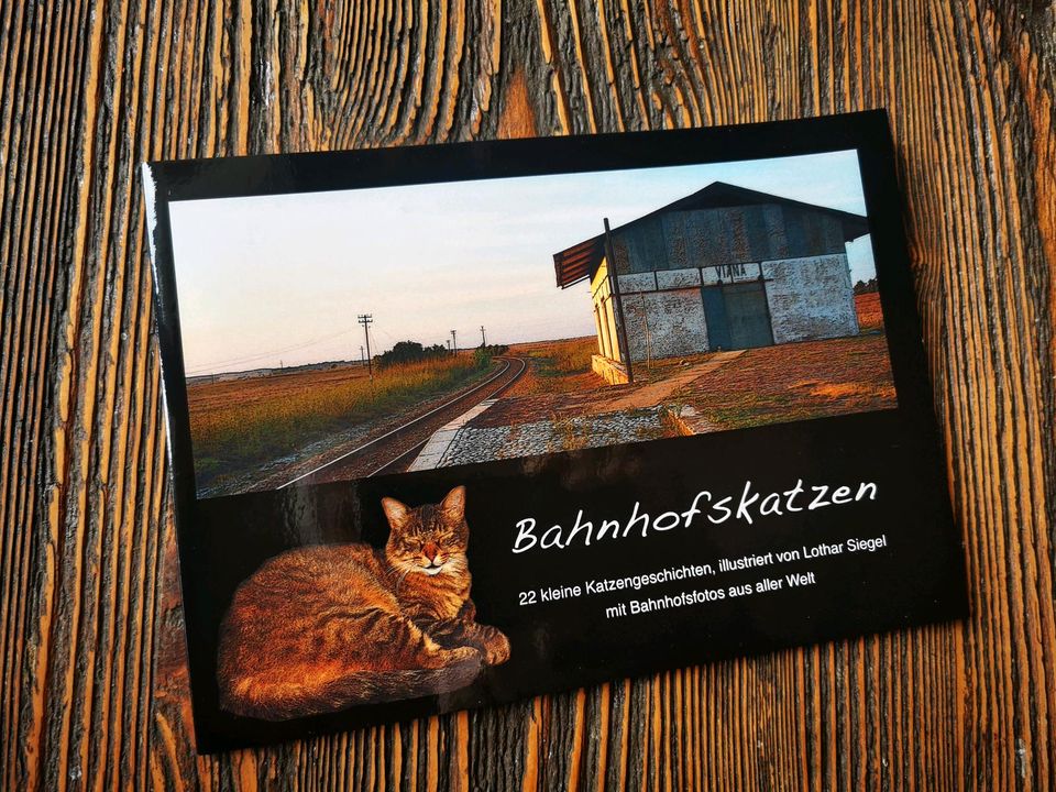 Für Katzenfreunde in Rellingen