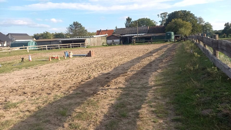 Paddockbox  und Weideplätze in Wedemark