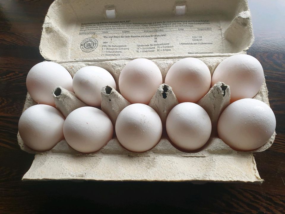 Eier zu verkaufen jeden  Tag frisch in Friesoythe