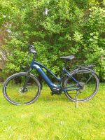 E Bike Giant Damen Explore, wie neu, noch keine 900 km gefahren Nordrhein-Westfalen - Marsberg Vorschau