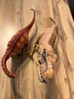 2 Dinosaurier zu verkaufen Baden-Württemberg - Appenweier Vorschau