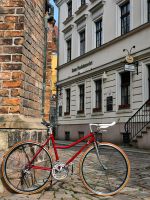 Raleigh Damen Fahrrad Halbrenner RH 50 Pankow - Prenzlauer Berg Vorschau