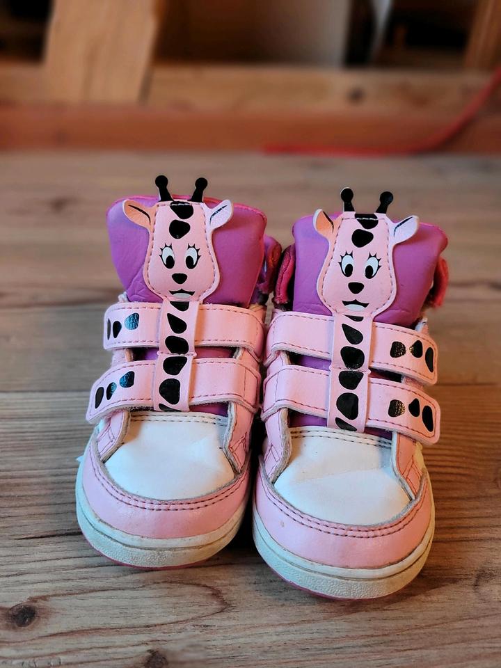 Adidas Neo Schuhe Gr. 22 in Thuringen Arnstadt Gebrauchte Kinderschuhe GroBe 22 kaufen kleinanzeigen