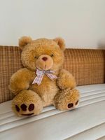 Kuscheltier Teddy 41cm [Haushaltsauflösung] Dresden - Löbtau-Nord Vorschau